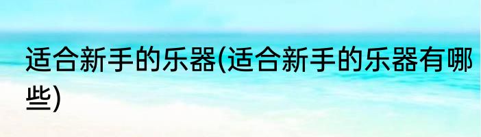 适合新手的乐器(适合新手的乐器有哪些)