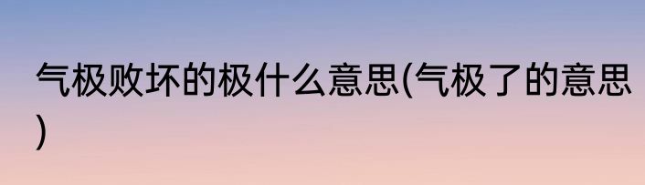 气极败坏的极什么意思(气极了的意思)