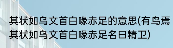 其状如乌文首白喙赤足的意思(有鸟焉其状如乌文首白喙赤足名曰精卫)