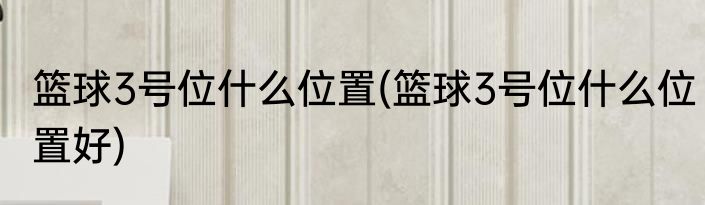 篮球3号位什么位置(篮球3号位什么位置好)