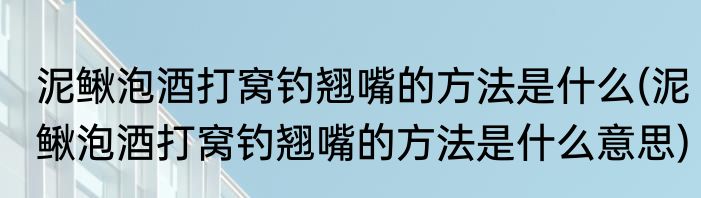 泥鳅泡酒打窝钓翘嘴的方法是什么(泥鳅泡酒打窝钓翘嘴的方法是什么意思)