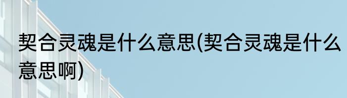 契合灵魂是什么意思(契合灵魂是什么意思啊)