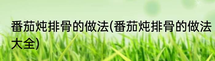 番茄炖排骨的做法(番茄炖排骨的做法大全)