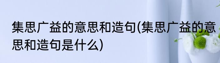 集思广益的意思和造句(集思广益的意思和造句是什么)