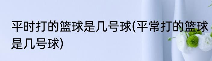 平时打的篮球是几号球(平常打的篮球是几号球)