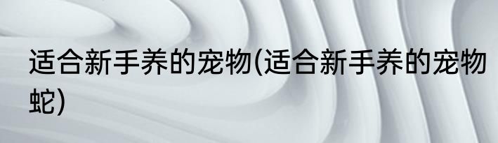 适合新手养的宠物(适合新手养的宠物蛇)