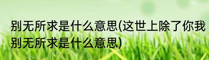 别无所求是什么意思(这世上除了你我别无所求是什么意思)