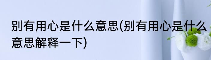 别有用心是什么意思(别有用心是什么意思解释一下)