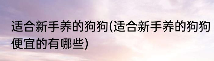 适合新手养的狗狗(适合新手养的狗狗便宜的有哪些)