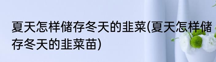 夏天怎样储存冬天的韭菜(夏天怎样储存冬天的韭菜苗)