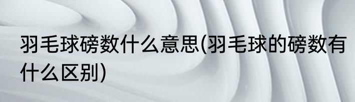 羽毛球磅数什么意思(羽毛球的磅数有什么区别)