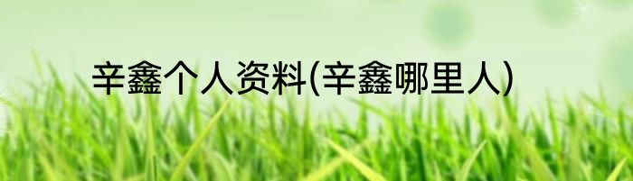 辛鑫个人资料(辛鑫哪里人)