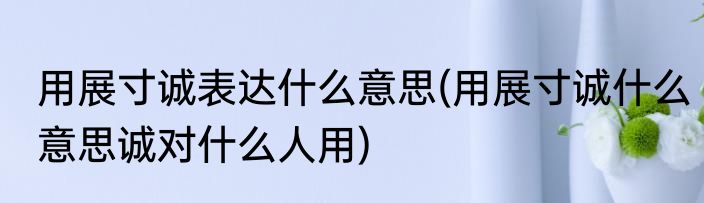 用展寸诚表达什么意思(用展寸诚什么意思诚对什么人用)