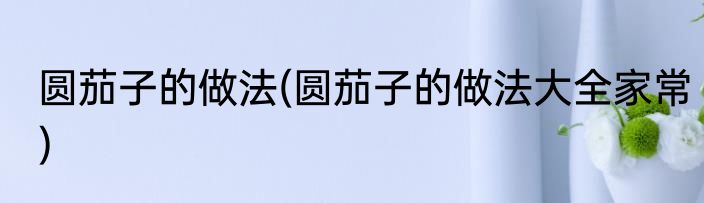 圆茄子的做法(圆茄子的做法大全家常)