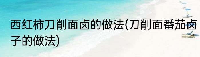西红柿刀削面卤的做法(刀削面番茄卤子的做法)