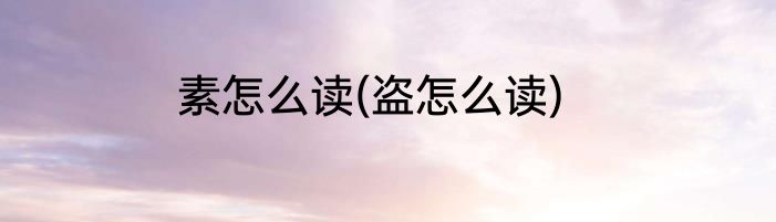 素怎么读(盗怎么读)