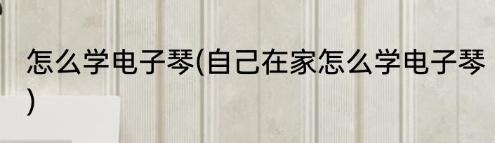 怎么学电子琴(自己在家怎么学电子琴)