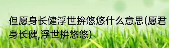 但愿身长健浮世拚悠悠什么意思(愿君身长健,浮世拚悠悠)