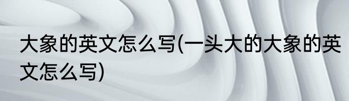 大象的英文怎么写(一头大的大象的英文怎么写)