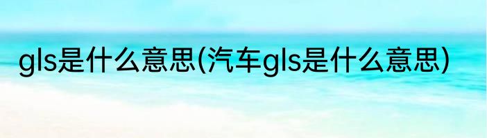 gls是什么意思(汽车gls是什么意思)
