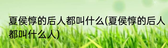 夏侯惇的后人都叫什么(夏侯惇的后人都叫什么人)