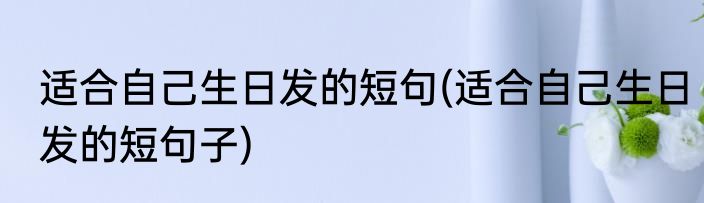 适合自己生日发的短句(适合自己生日发的短句子)