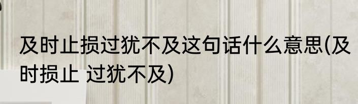 及时止损过犹不及这句话什么意思(及时损止 过犹不及)