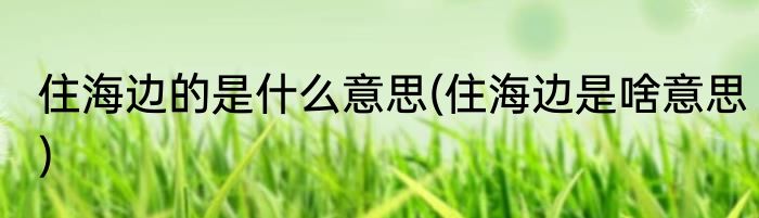 住海边的是什么意思(住海边是啥意思)