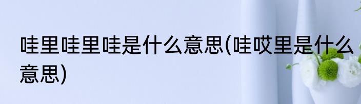 哇里哇里哇是什么意思(哇哎里是什么意思)