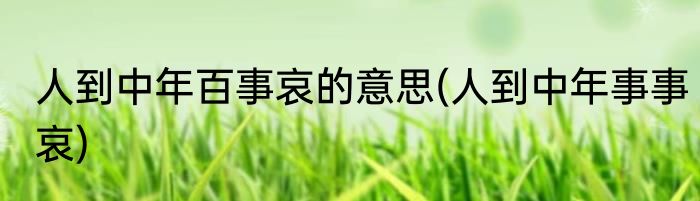 人到中年百事哀的意思(人到中年事事哀)