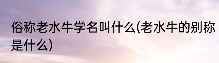 俗称老水牛学名叫什么(老水牛的别称是什么)