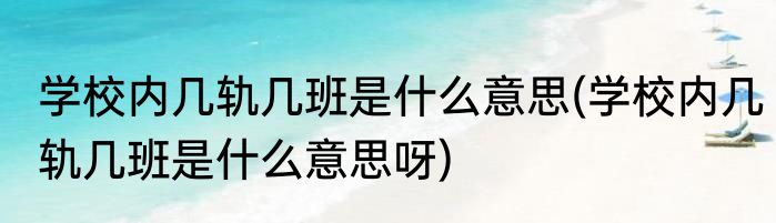 学校内几轨几班是什么意思(学校内几轨几班是什么意思呀)