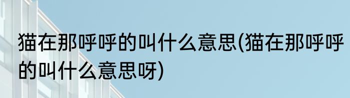 猫在那呼呼的叫什么意思(猫在那呼呼的叫什么意思呀)