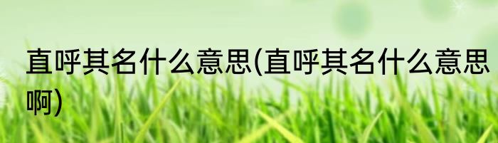 直呼其名什么意思(直呼其名什么意思啊)