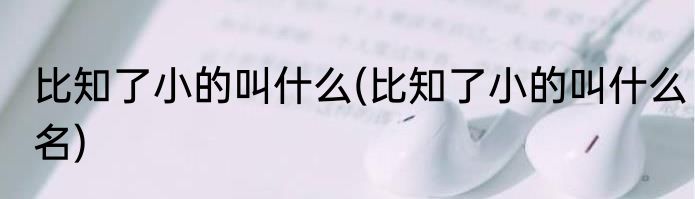 比知了小的叫什么(比知了小的叫什么名)