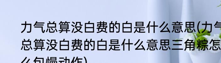 力气总算没白费的白是什么意思(力气总算没白费的白是什么意思三角粽怎么包慢动作)