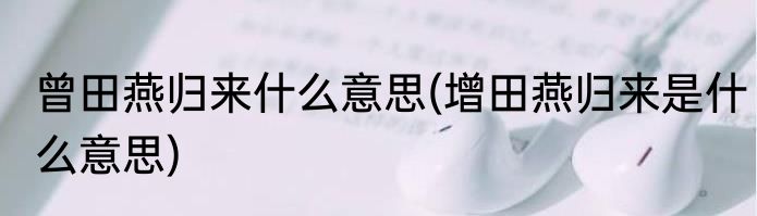 曾田燕归来什么意思(增田燕归来是什么意思)