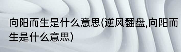 向阳而生是什么意思(逆风翻盘,向阳而生是什么意思)
