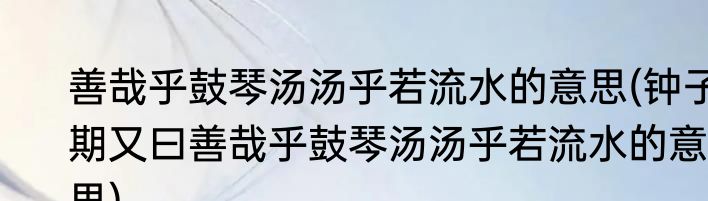 善哉乎鼓琴汤汤乎若流水的意思(钟子期又曰善哉乎鼓琴汤汤乎若流水的意思)