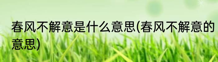 春风不解意是什么意思(春风不解意的意思)