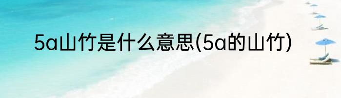 5a山竹是什么意思(5a的山竹)