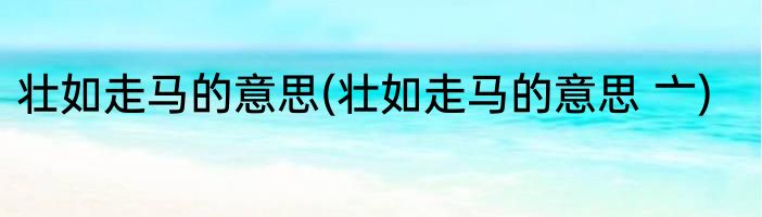 壮如走马的意思(壮如走马的意思 亠)