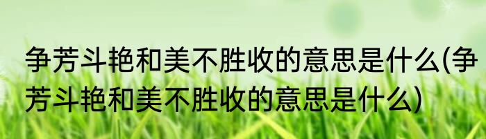 争芳斗艳和美不胜收的意思是什么(争芳斗艳和美不胜收的意思是什么)