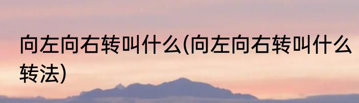 向左向右转叫什么(向左向右转叫什么转法)