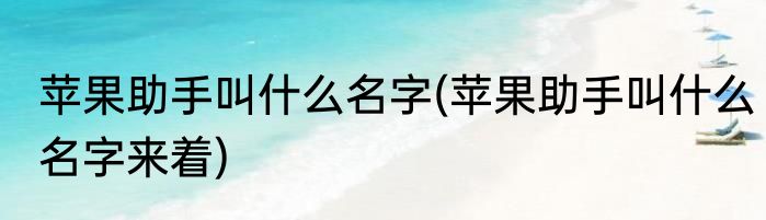 苹果助手叫什么名字(苹果助手叫什么名字来着)