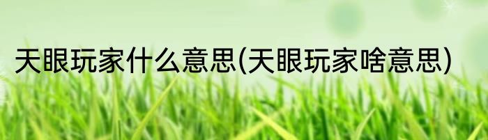 天眼玩家什么意思(天眼玩家啥意思)