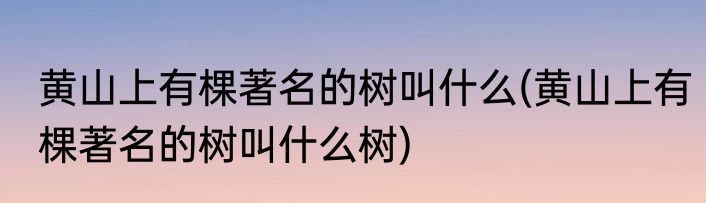 黄山上有棵著名的树叫什么(黄山上有棵著名的树叫什么树)