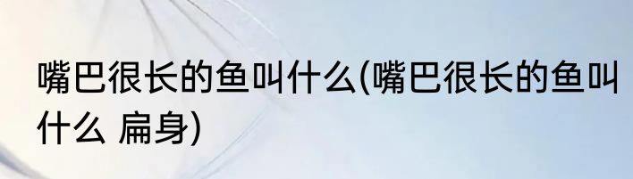 嘴巴很长的鱼叫什么(嘴巴很长的鱼叫什么 扁身)