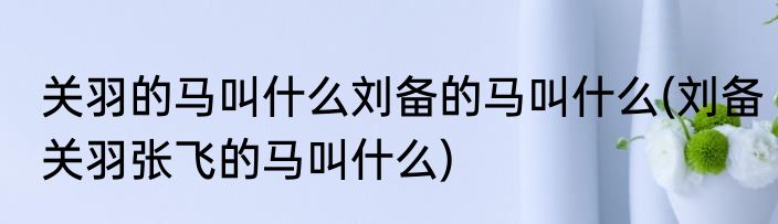 关羽的马叫什么刘备的马叫什么(刘备关羽张飞的马叫什么)