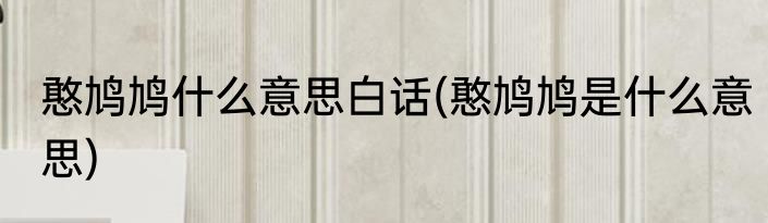 憨鸠鸠什么意思白话(憨鸠鸠是什么意思)